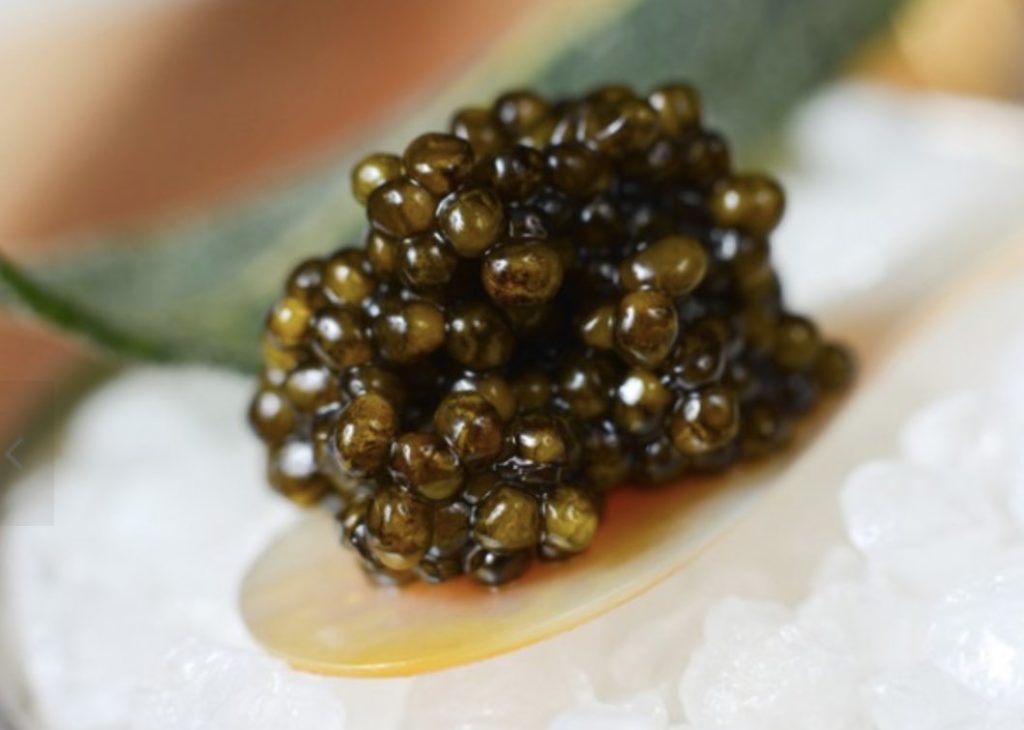 Caviar ruso negro esturion