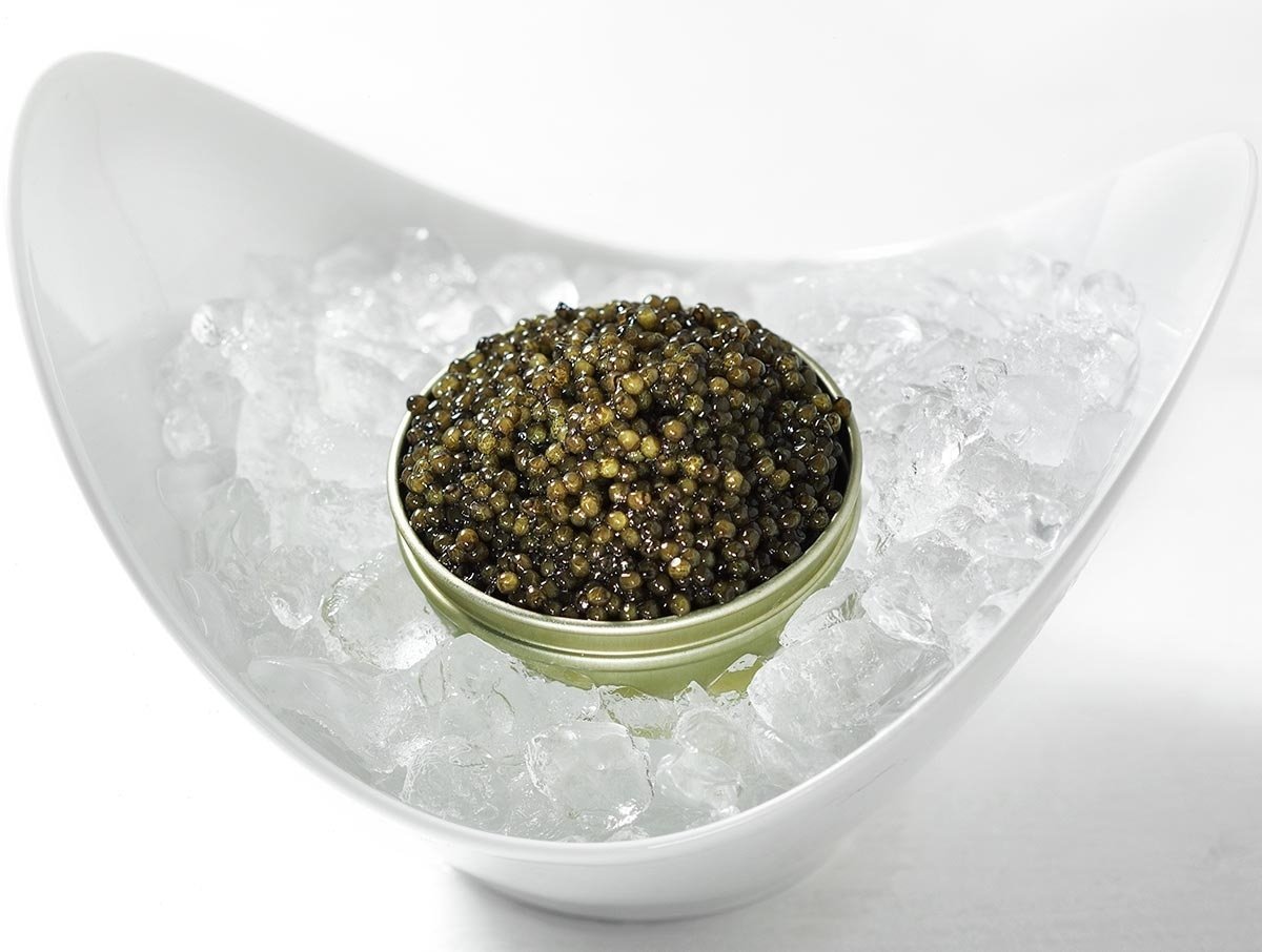 Caviar de beluga