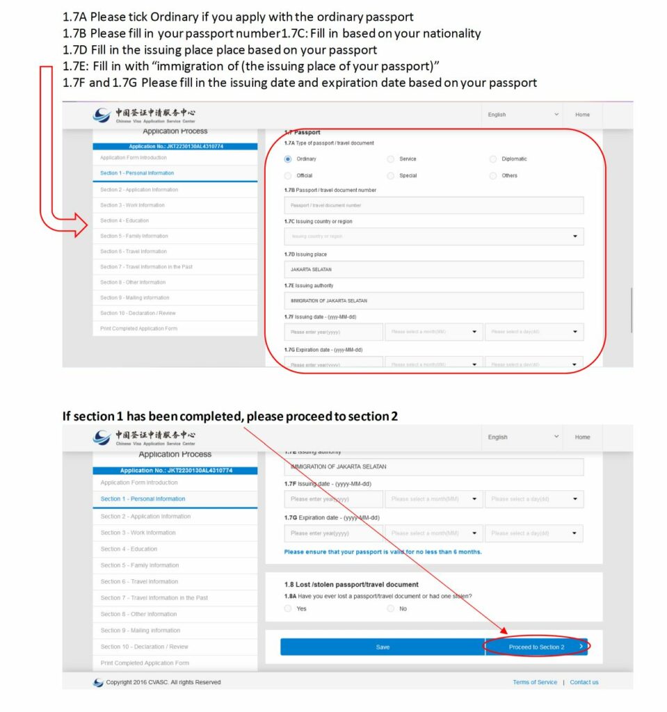 Formulario de solicitud de visado chino online - Ejemplo de rellenar y cumplimentar nuevo formulario - Captura de pantalla 8