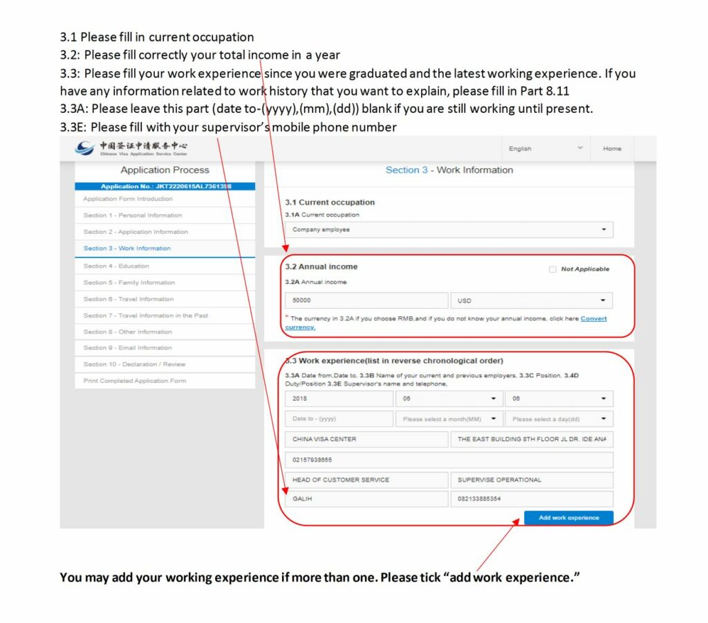 Formulario de solicitud de visado chino online - Ejemplo de rellenar y cumplimentar nuevo formulario - Captura de pantalla 10