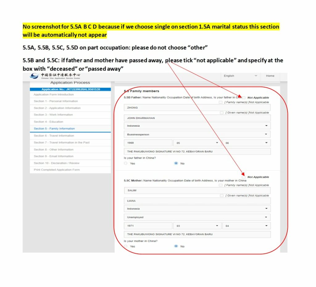 Formulario de solicitud de visado chino online - Ejemplo de rellenar y cumplimentar nuevo formulario - Captura de pantalla 13