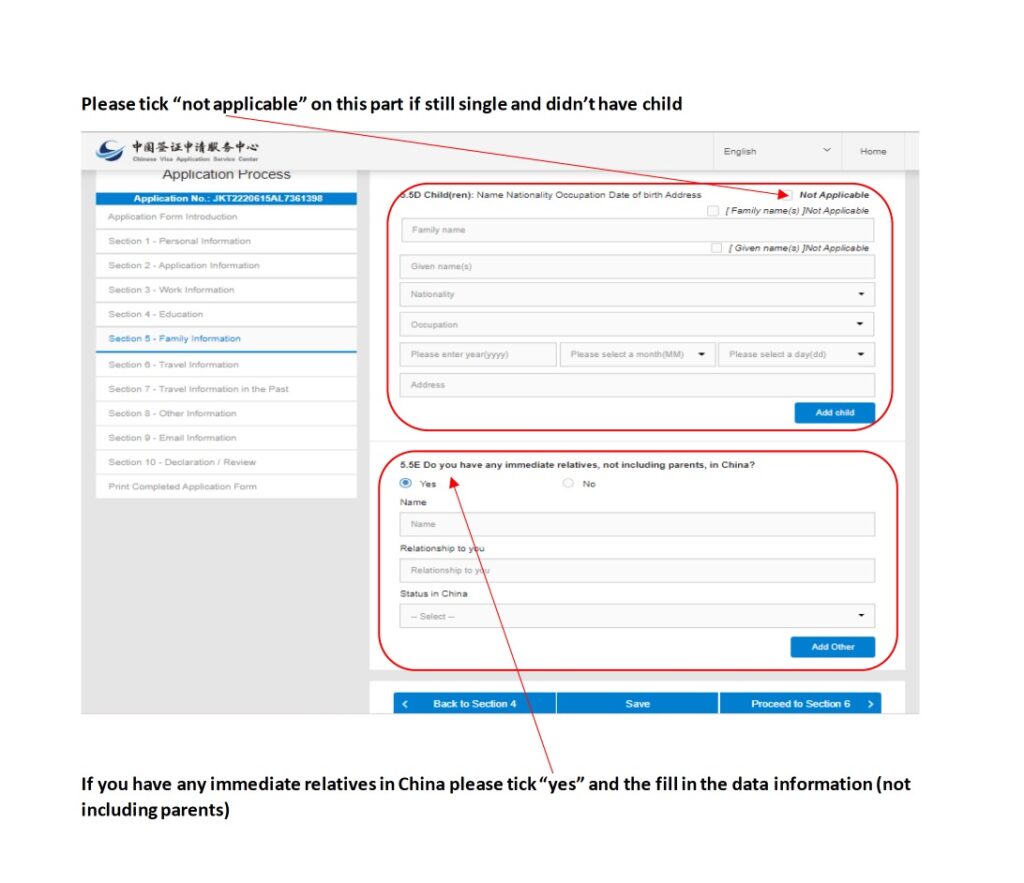 Formulario de solicitud de visado chino online - Ejemplo de rellenar y cumplimentar nuevo formulario - Captura de pantalla 14