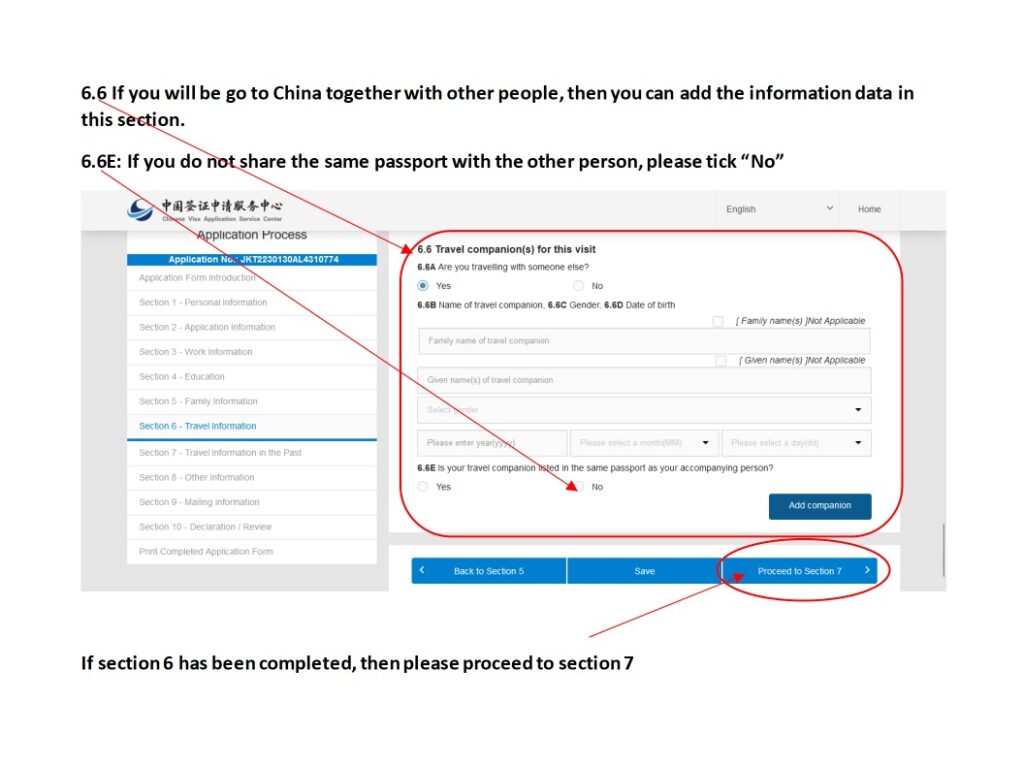 Formulario de solicitud de visado chino online - Ejemplo de rellenar y cumplimentar nuevo formulario - Captura de pantalla 18