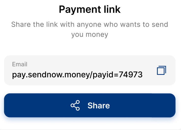 payment_link_russia_sendnow