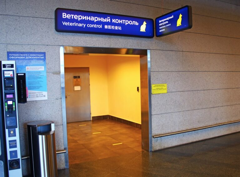 Viajando a rusia con animales