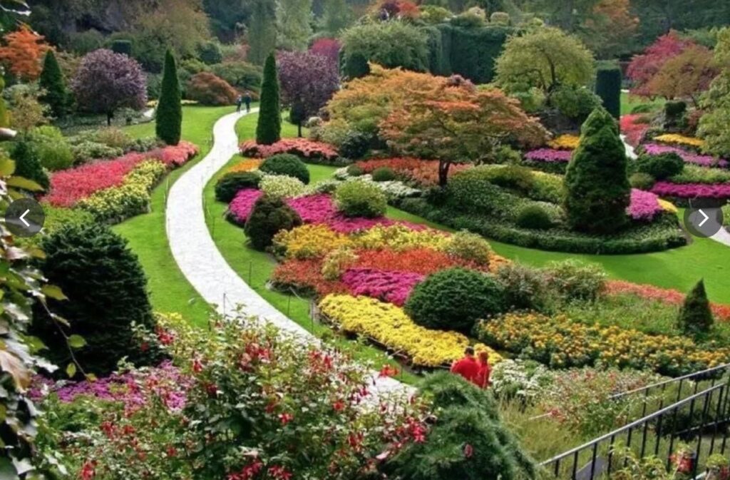 Park Dendrarium w Soczi z subtropikalną roślinnością i widokiem na Morze Czarne
