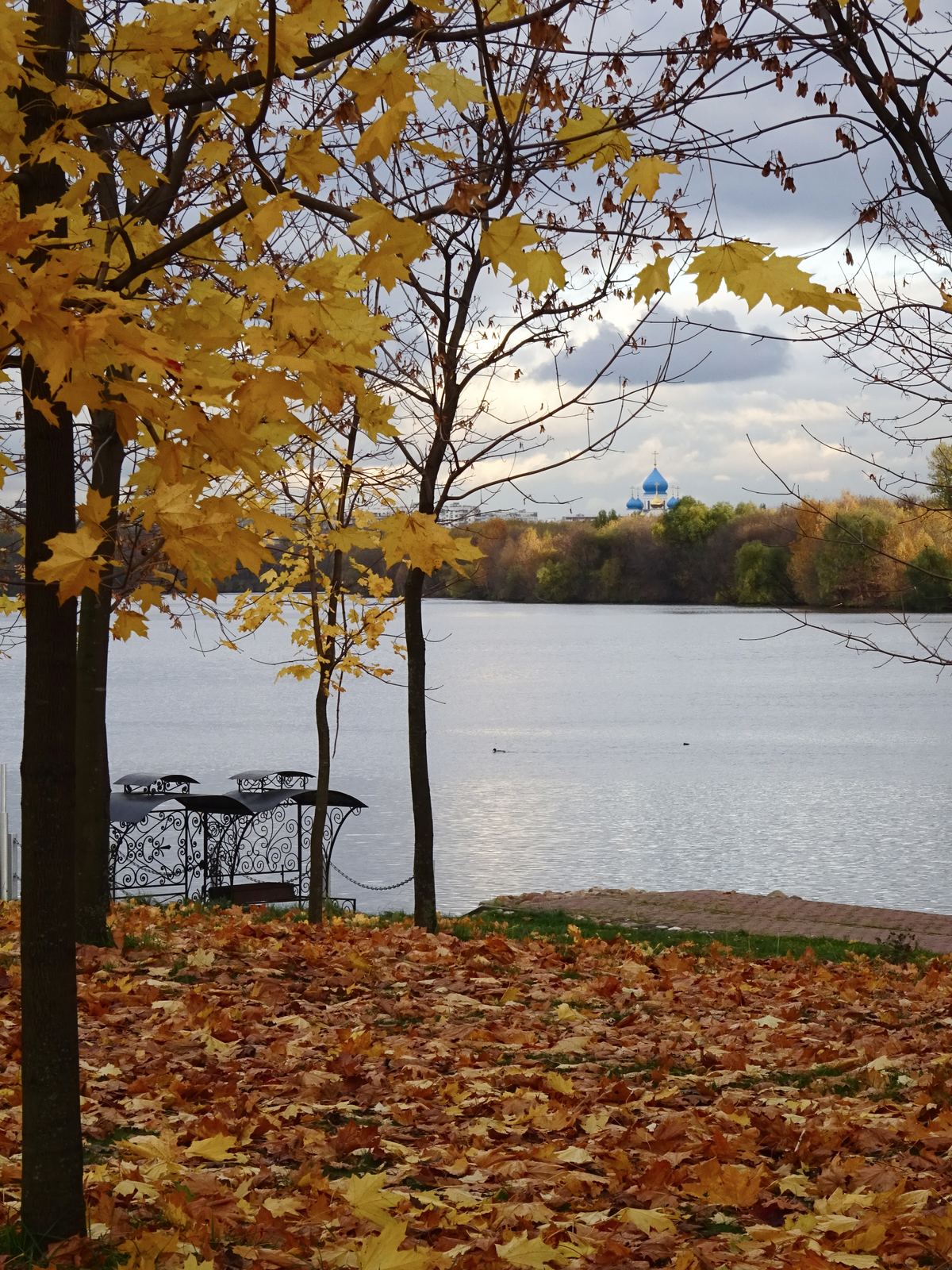Lago rodeado de árboles con hojas doradas en otoño en Rusia